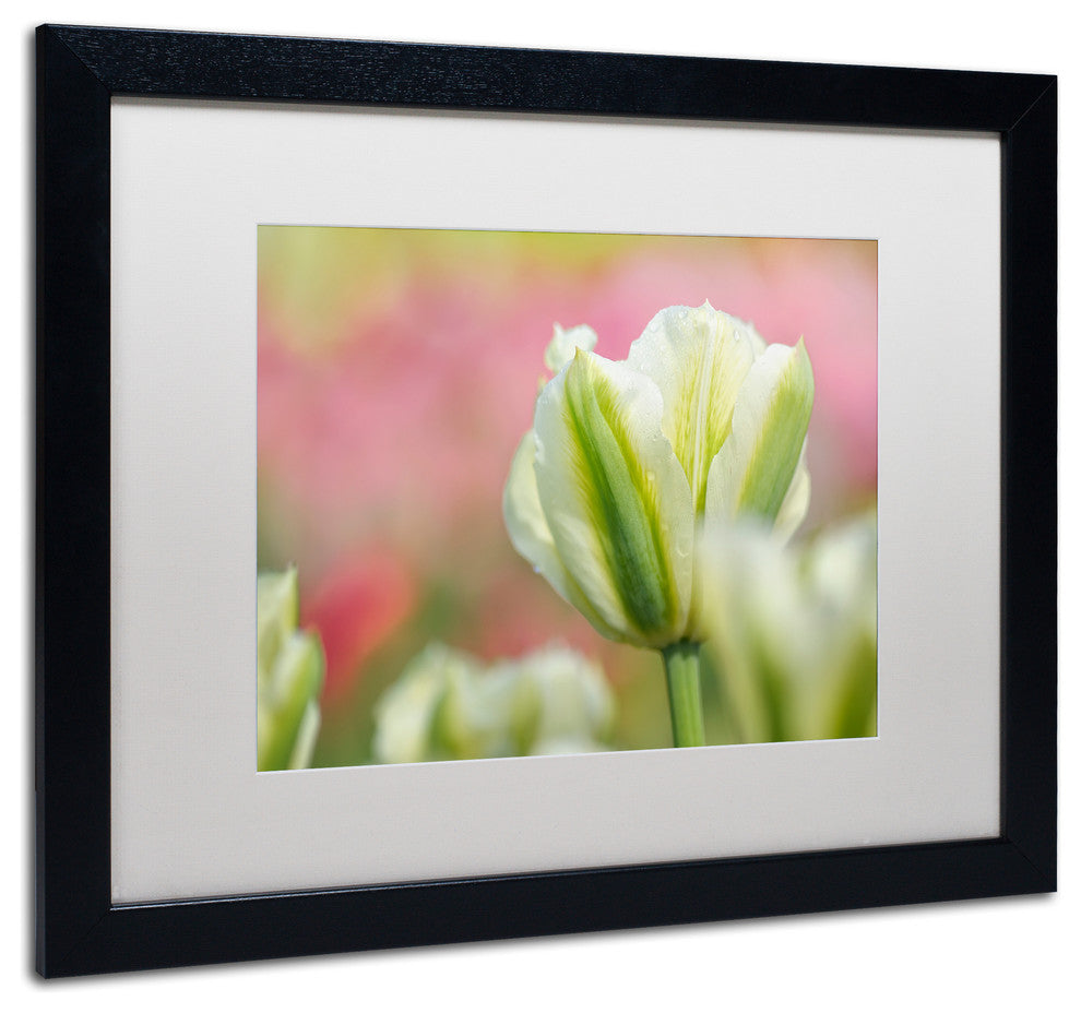 Cora Niele ''White and Green Tulip'' Matted Framed Art