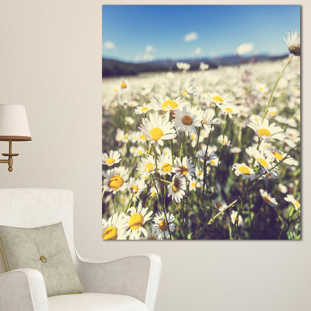 Mountain Plain with Daisy Flowers, Large Flower Canvas Art Print, 30"x40"