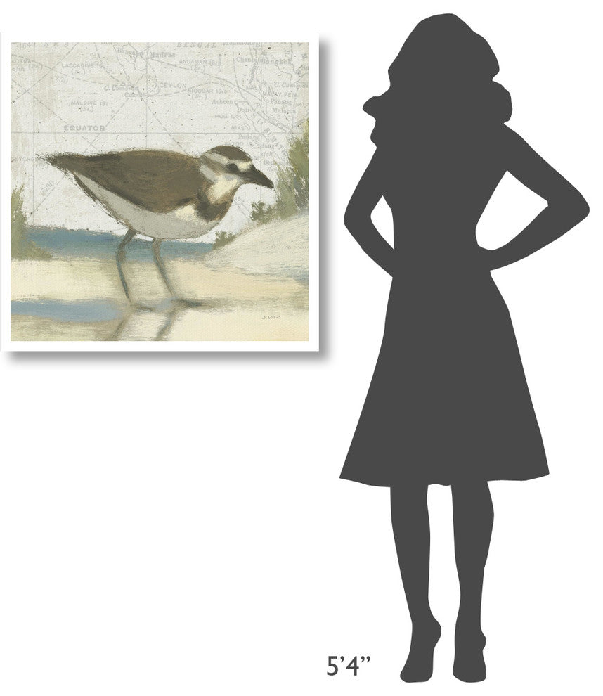 "Beach Bird III" Digital Paper Print by James Wiens, 32"x32"