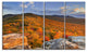 Endless Forests in the Fall Foliage, Landscape Canvas Print, 48"x28", 4 Panels