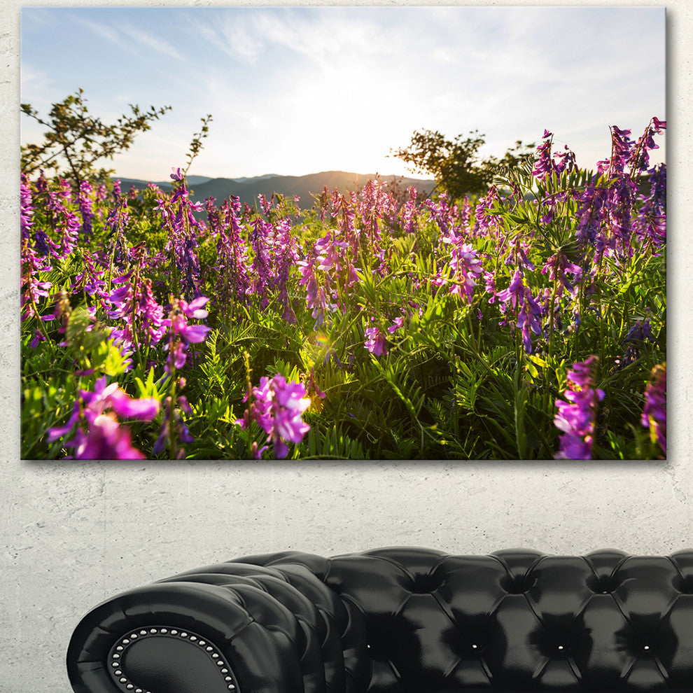 Amazing Summer Pasture with Flowers, Floral Canvas Art Print, 40"x30"