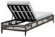 Felicia Patio Adjustable Chaise Lounge Chair, Metal With Gray Rope and Cushion