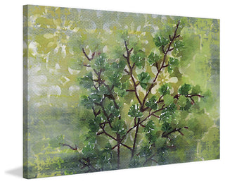 "Green Sensation I" Print on Canvas by Irena Orlov