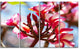 Bunch of Beautiful Tropical Flowers, Floral Canvas Art print, 48"x28", 4 Panels