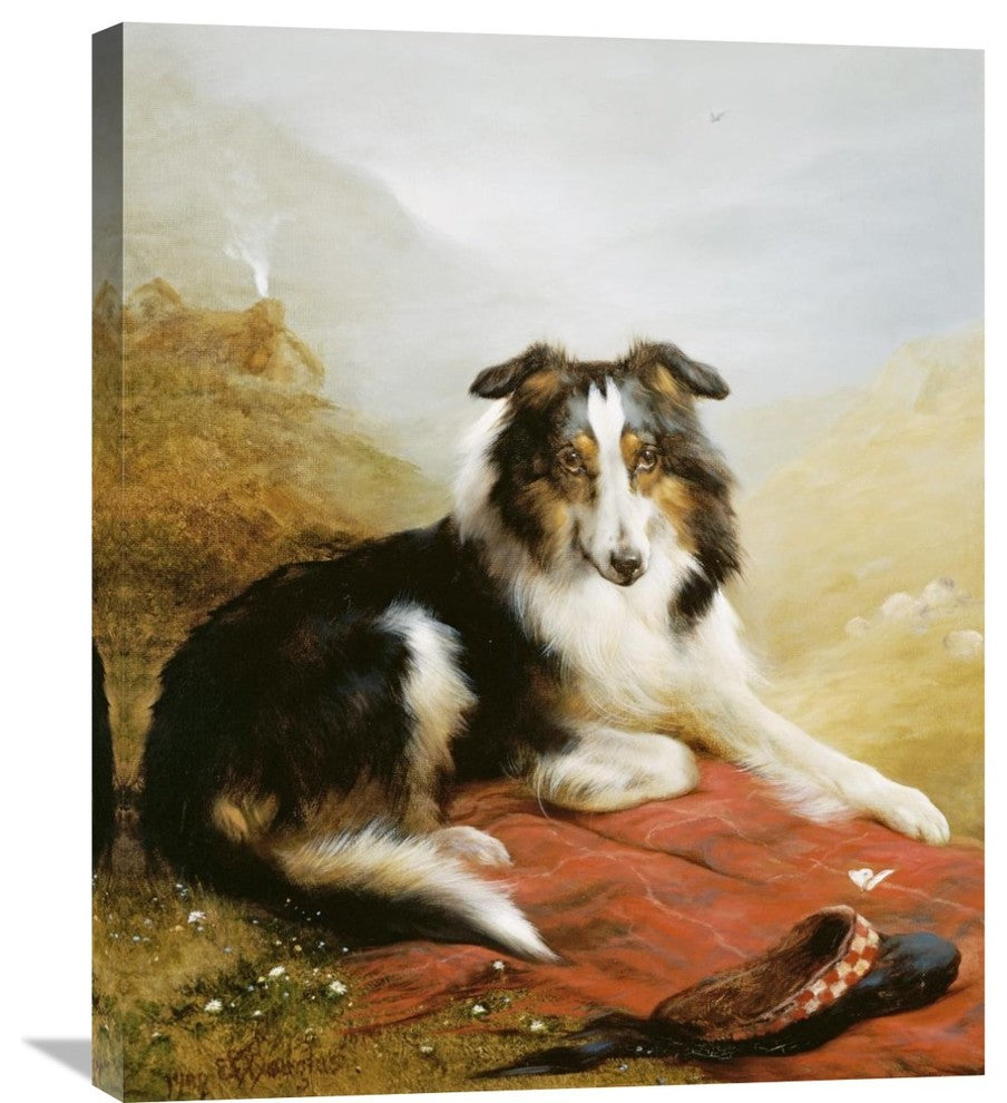 "A Collie, The Guardian of The Flock" Artwork, 24" x 30"
