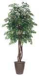 Vickerman 6'' Artificial Ming Aralia Tree, Brown Round Plastic Container