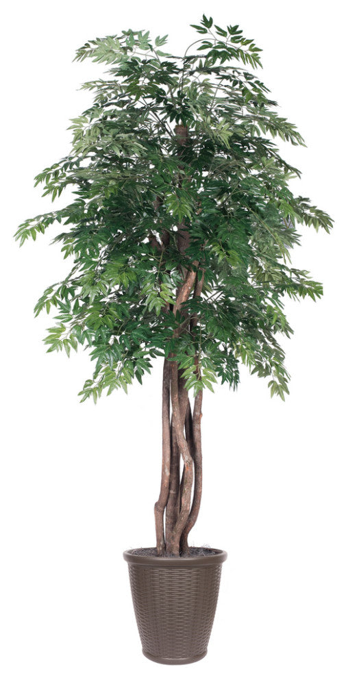 Vickerman 6'' Artificial Ming Aralia Tree, Brown Round Plastic Container