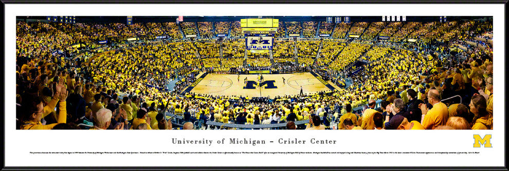Michigan Wolverine Basketball - Standard Frame