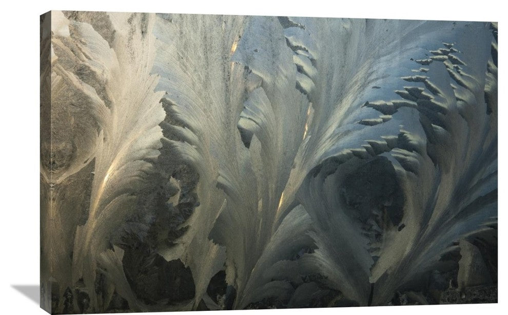 "Frost Crystal Patterns On Glass, Ross Sea, Antarctica" Artwork, 36" x 24"