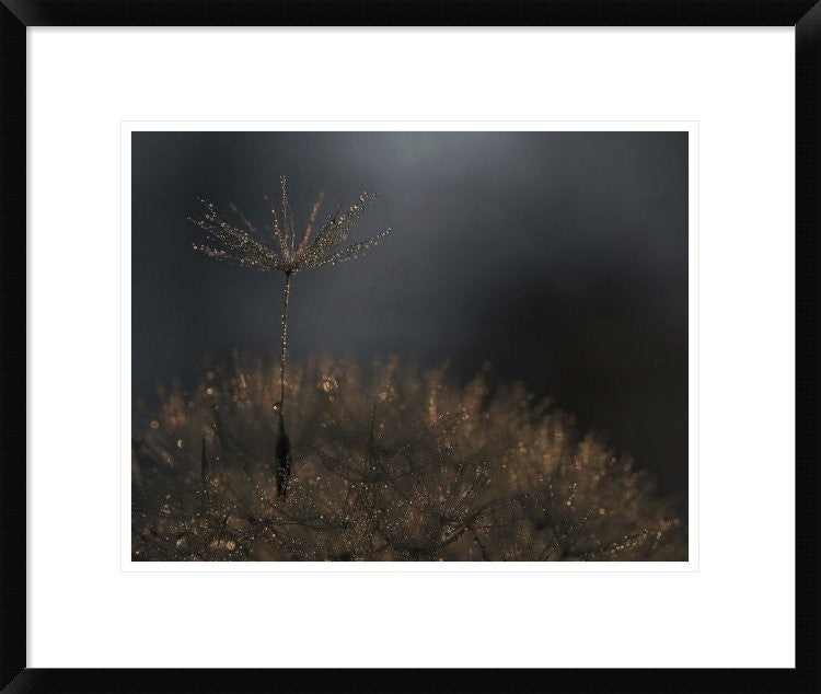 "Standing Toward The Light" Framed Digital Print by Thierry Dufour, 24x20"