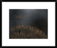 "Standing Toward The Light" Framed Digital Print by Thierry Dufour, 24x20"