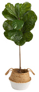 4' Fiddle Leaf Faux Tree, Boho Chic Handmade Cotton & Jute White Woven Planter