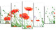 Poppy Flowers on White Background, Floral Canvas Art Print, 60"x32", 5 Panels