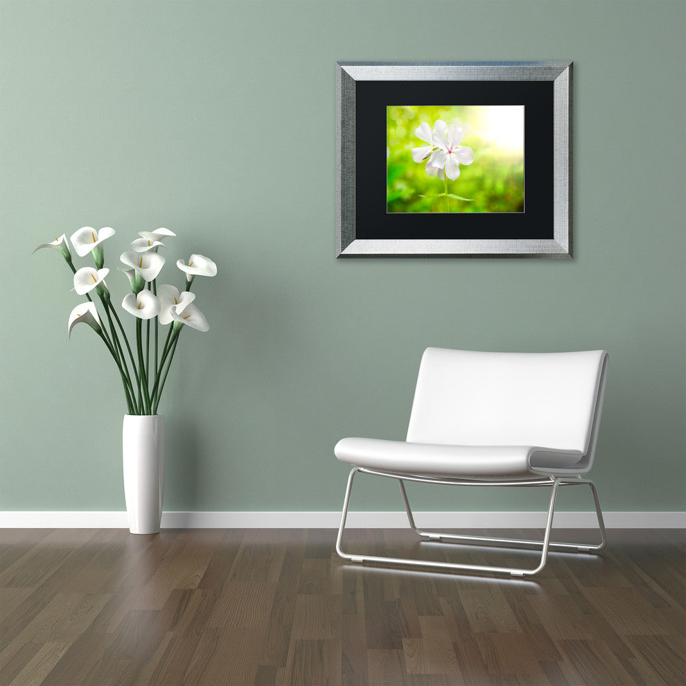 PIPA Fine Art 'Beauty of the Forest Floor' Matted Framed Art, 20x16