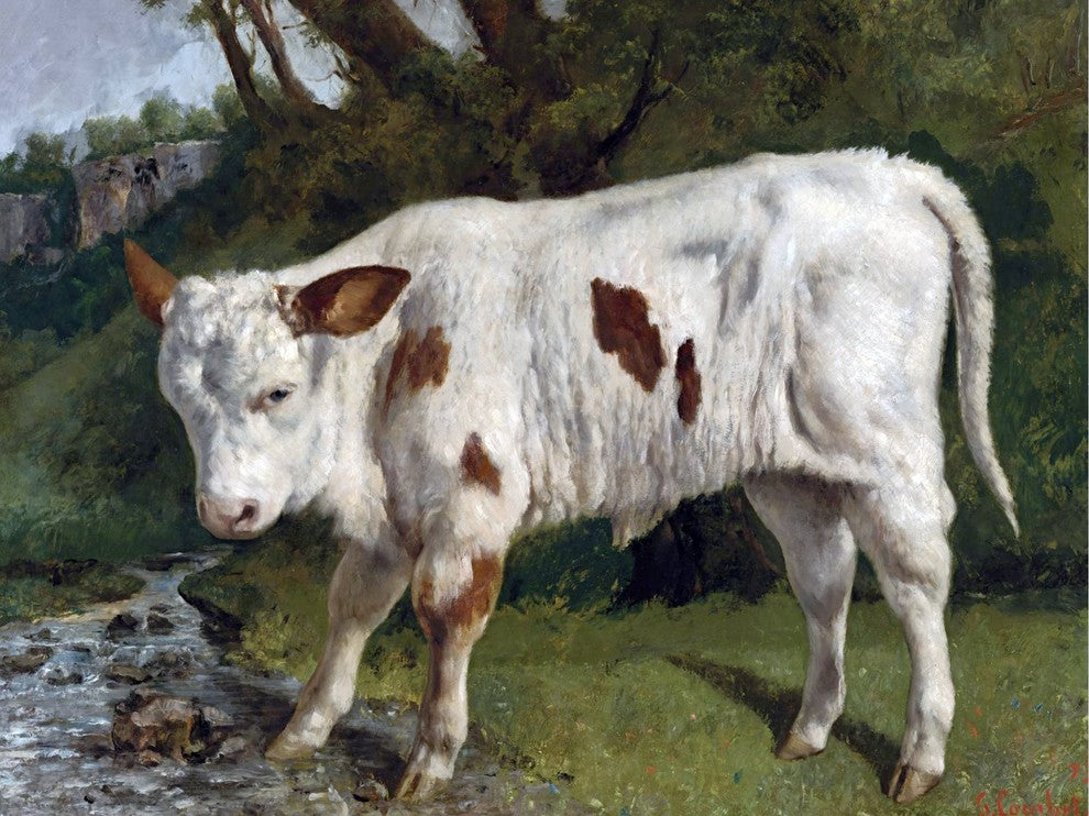 Tile Mural White Veal By Gustave Courbet, 6"x8", Glossy
