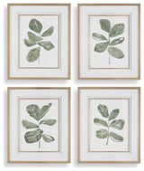 Uttermost Fiddle Head Leaf Botanical Prints Set of 4