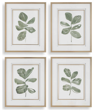 Uttermost Fiddle Head Leaf Botanical Prints Set of 4