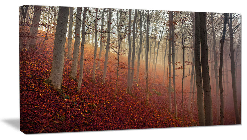 Foggy Day in Enchanted Forest, Landscape Canvas Art Print, 40x20