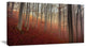Foggy Day in Enchanted Forest, Landscape Canvas Art Print, 40x20