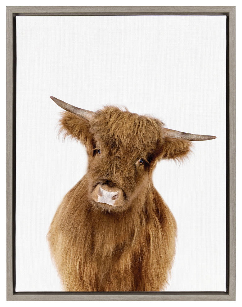Sylvie Baby Highland Calf Animal Print Framed Canvas by Amy Peterson, 18x24