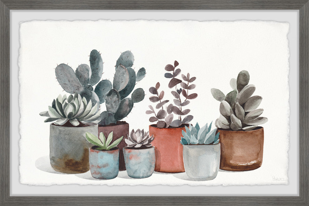 "Succulent Plants Display" Framed Painting Print