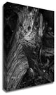 Black Wood by Design Fabrikken, Print on Canvas, 20"x28"