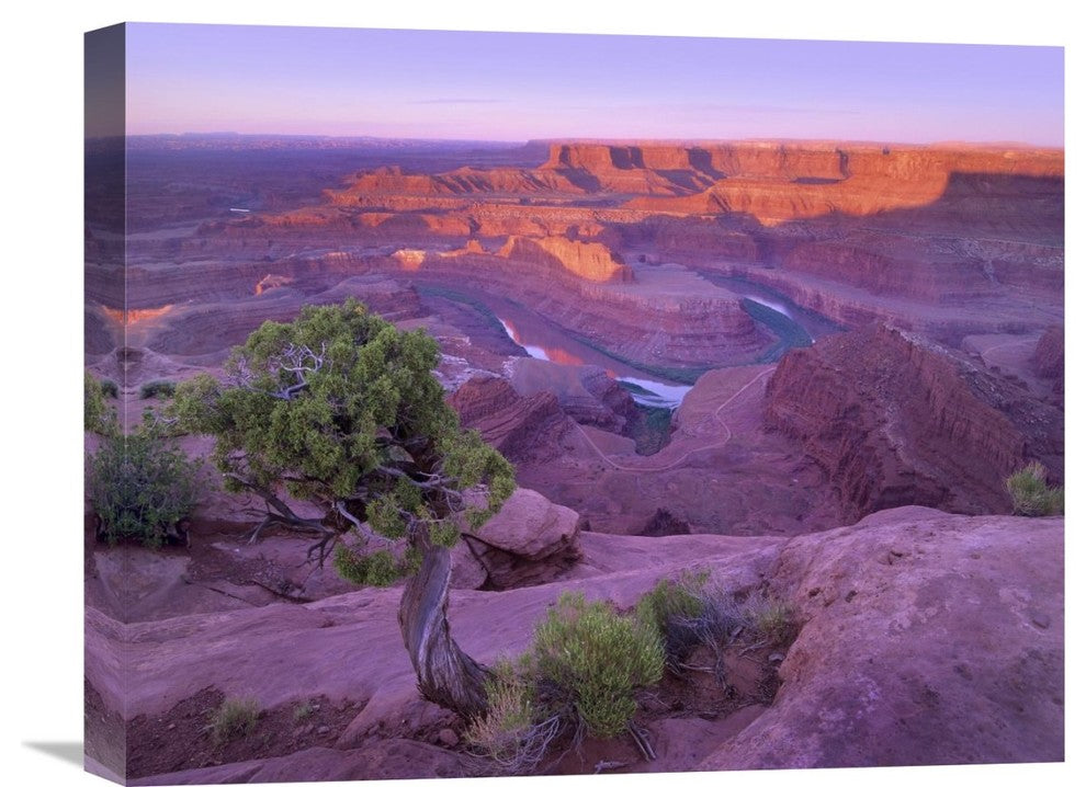 "Colorado River Flowing Through Dead Horse Point State Park, Utah" Artwork