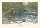 A Two - Pounder - Paper Poster 20" x 30"