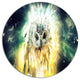 Owl Over Colorful Abstract Image, Animal Disc Metal Wall Art, 36"