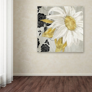 Color Bakery 'Sunroom II' Canvas Art, 24"x24"