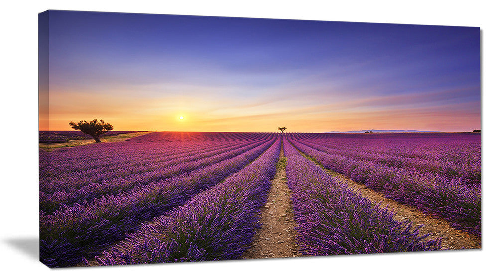 "Lavender Field in Provence France" Landscape Wall Art Print, 1 Panel, 60"x28"