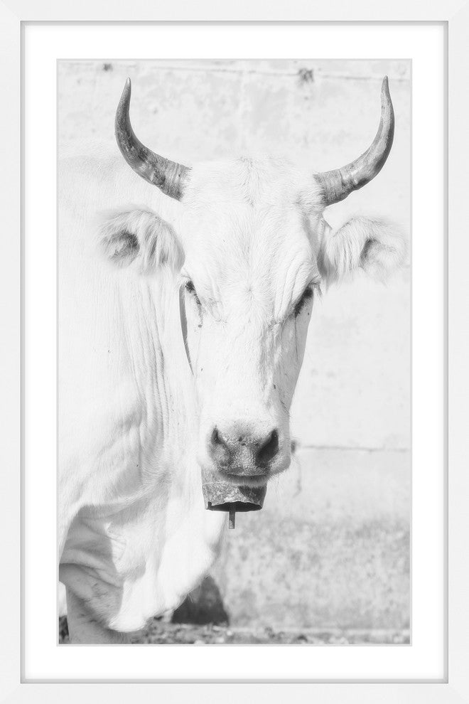 Marmont Hill, "Cow Face" Framed Painting Print, 12x18