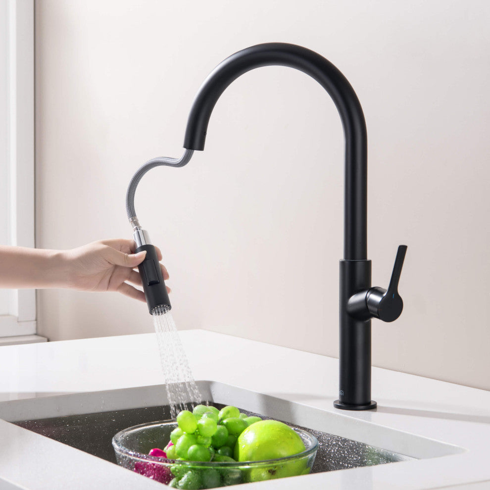 Fusion-T Single Handle Pull Down Kitchen Sink Faucet, Matte Black