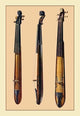 Sordino- Fine Art Giclee Print 24" x 36"