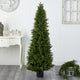 5.5' Cypress Cone Topiary Artificial Tree UV Resistant, Indoor/Outdoor