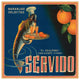 "Servido Selected Oranges" Digital Paper Print by Retrolabel, 18"x18"