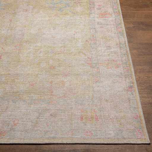 Hauteloom Bozkurt Distressed Washable Rug, 2'7"x10' Runner