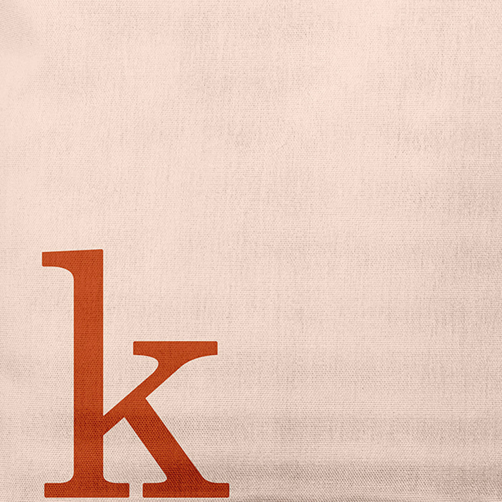 18" x 18" Modern Monogram Indoor/Outdoor Polyester Throw Pillow, Sienna