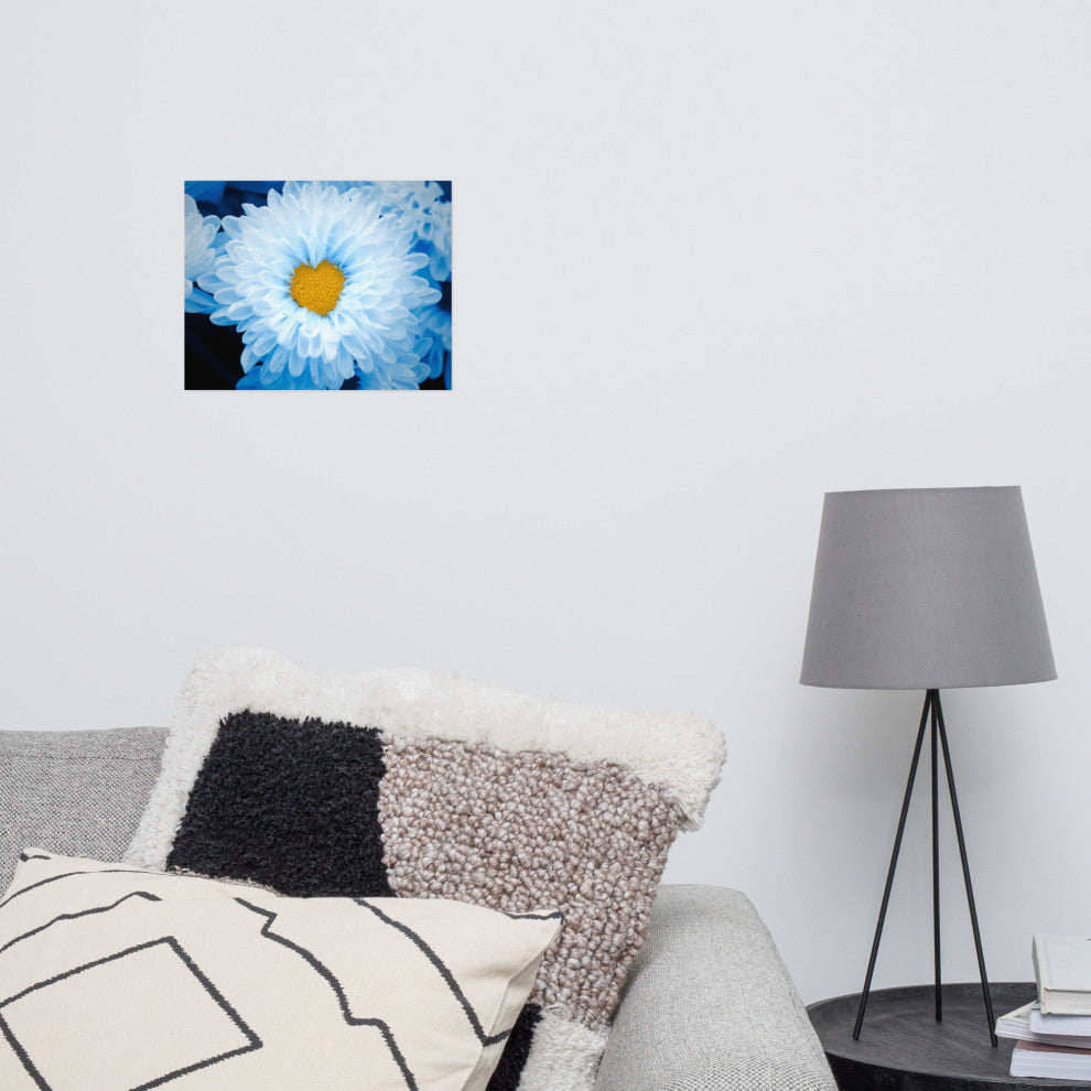 Blue Tinted Chrysanthemums Floral Nature Photo Loose Wall Art Print, 11" X 14"