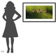 "16" Framed Digital Print by Iwan Tirtha, 44x26"