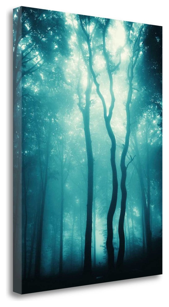 "Blue Light Woods" By Photoinc Studio, Giclee Print on Gallery Wrap Canvas