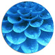 Light Blue Flower And Petals, Modern Floral Round Metal Wall Art, 36"