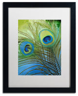 Color Bakery 'Peacock Candy I' Art, Black Frame, White Matte, 16"x20"