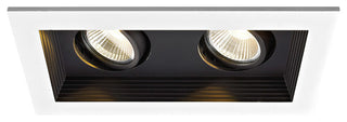 Mini Multiple LED Two-Light Remodel Housing With and-Light 2700K Flood, Black