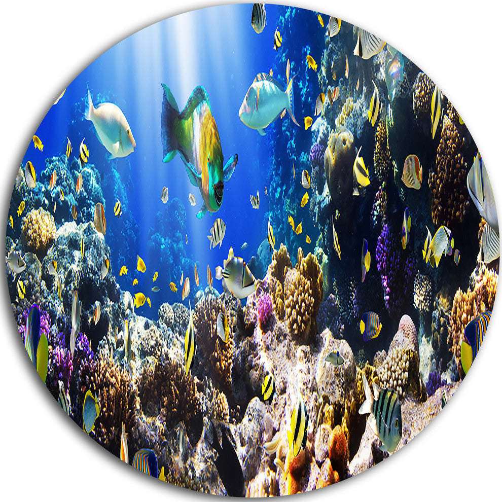 Coral Colony And Coral Fish, Seascape Photo Disc Metal Wall Art, 23"