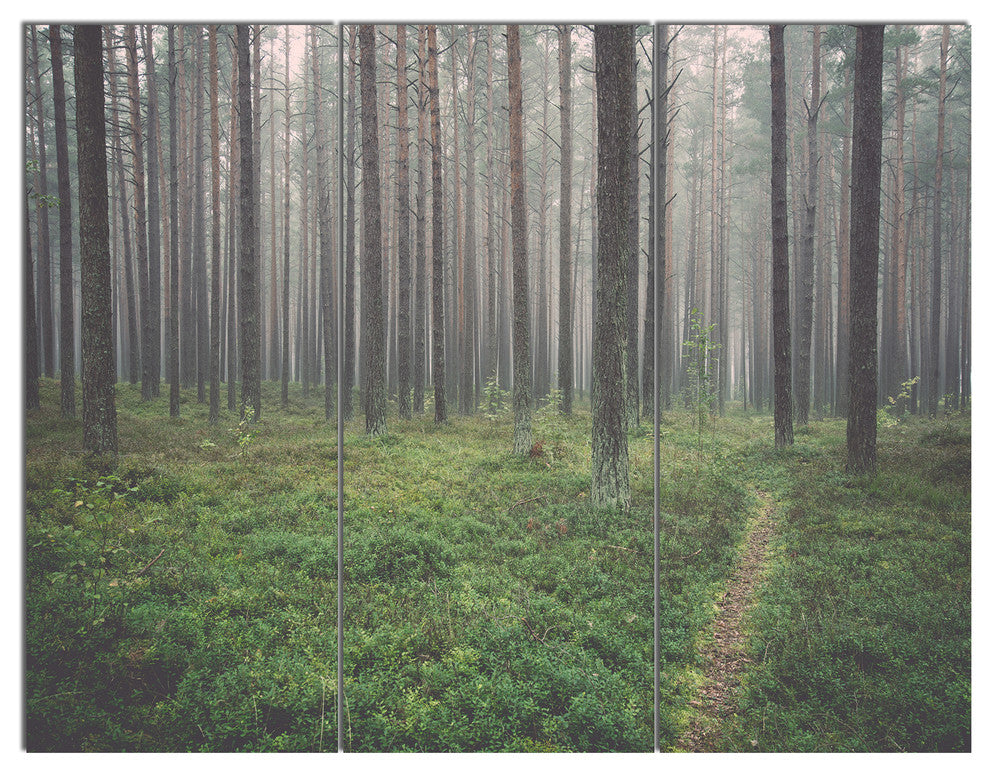 Foggy Dense Forest with Grass, Modern Forest Canvas Art, 36x28, 3 Panels