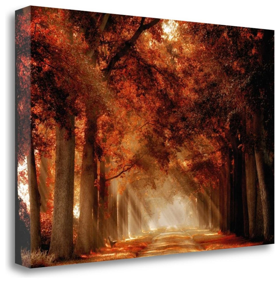 "A Seat Not Taken III" By Lars Van De Goor, Giclee Print on Gallery Wrap Canvas