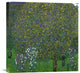 "Roses Under Trees 1904" Stretched Canvas Giclee by Gustav Klimt, 22"x22"