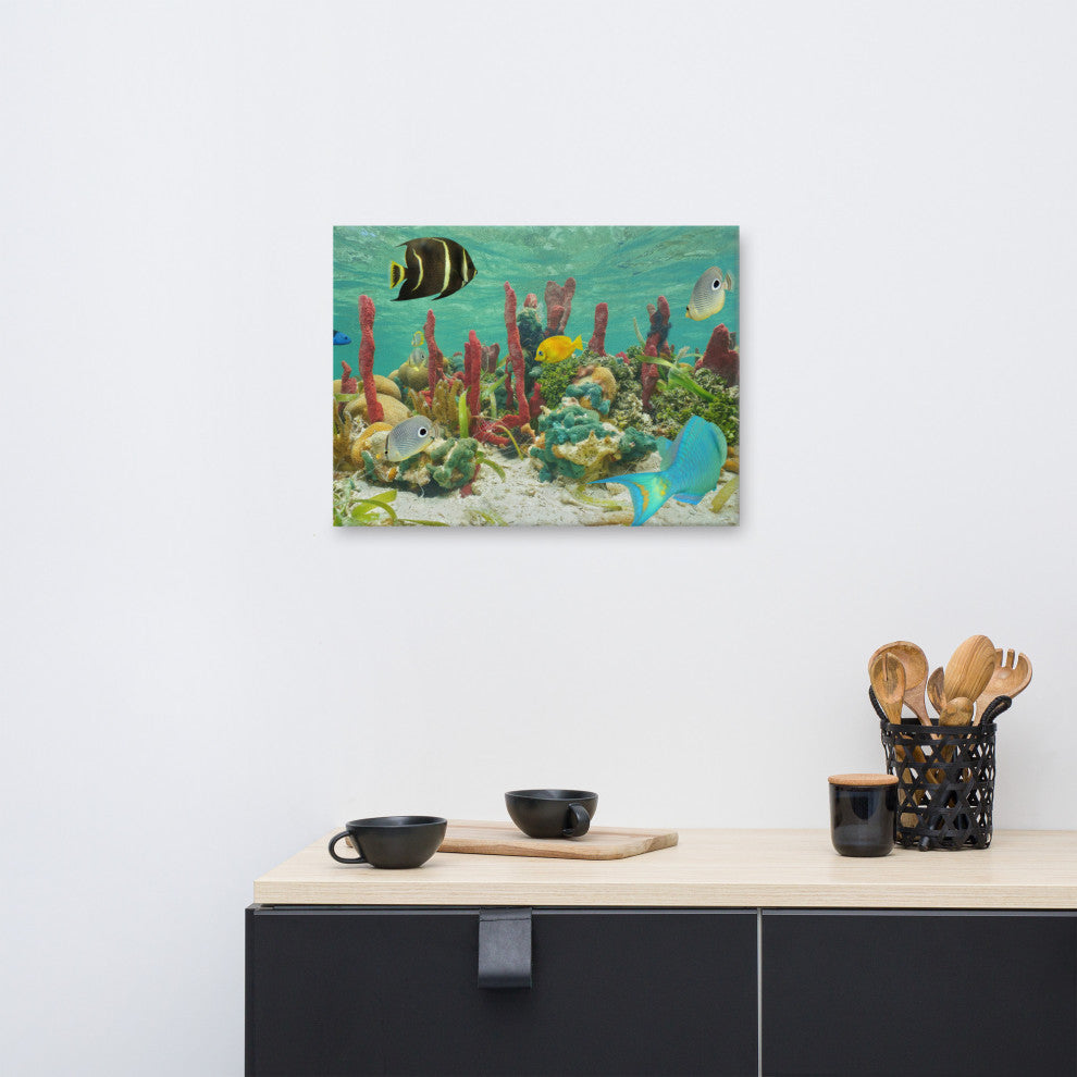 Colorful Tropical Fish Marine Life Coral Reef Wildlife Photo Canvas Art Print, 16" X 20"