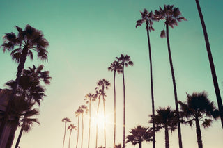 "California Dreaming" Painting Print on Wrapped Canvas
